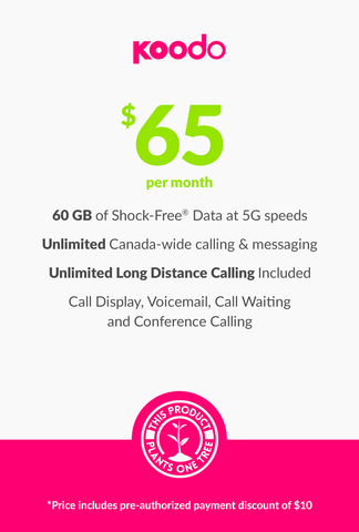 60 GB - $65 (New Activations and Renewals) - greenmobile.com