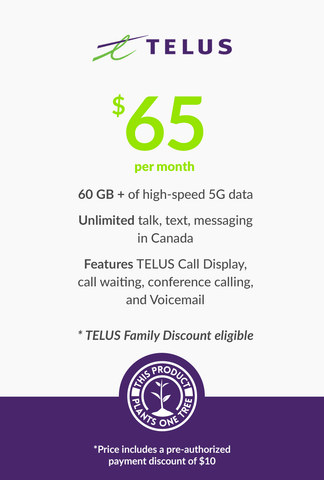 60 GB - $65 (New Activations and Renewals) - greenmobile.com