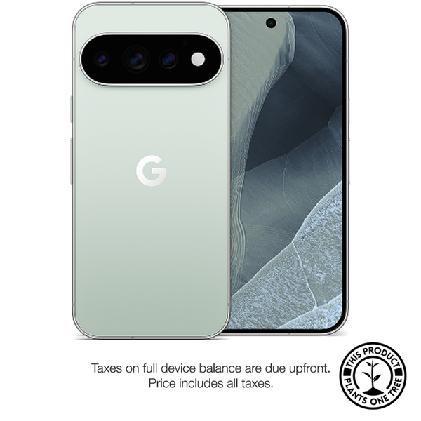 Google Pixel 11 Pro 256 GB Telus